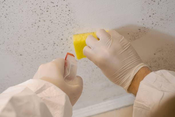 Mold Removal for HVAC Installations in Woodbury Center, CT
