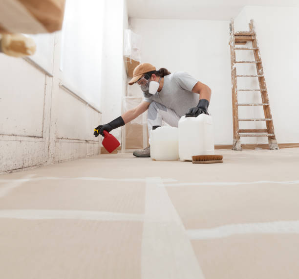 Trusted Woodbury Center, CT Mold Removal Experts